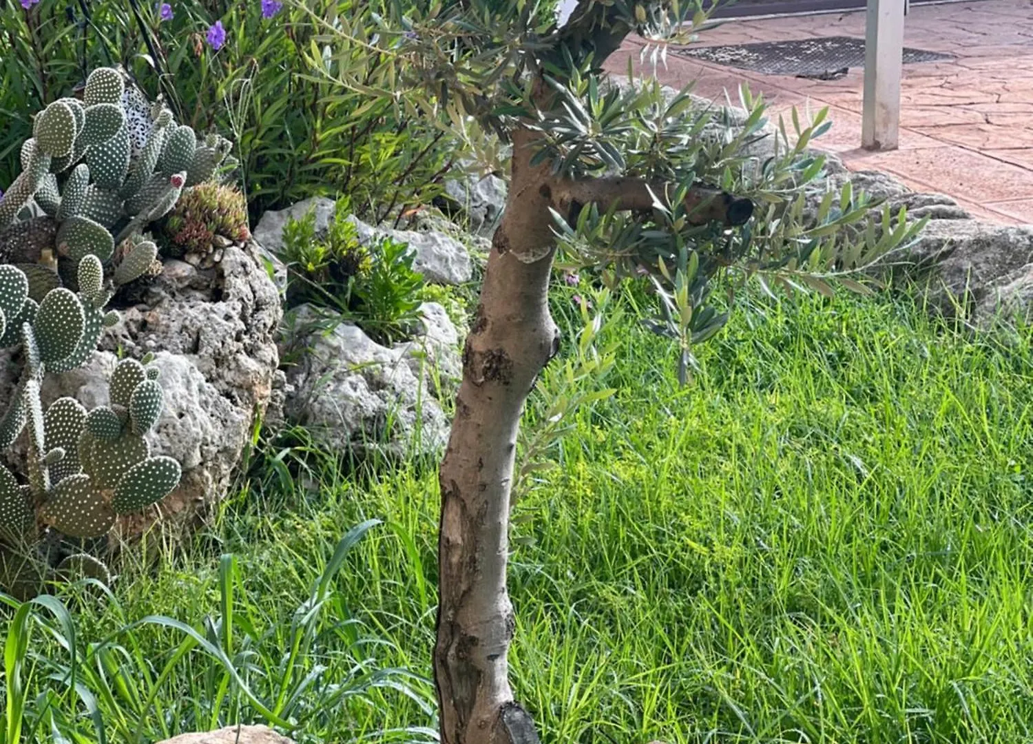 Apartmán La Casa Del Vagabondo Belvedere  Itálie